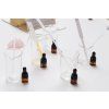 Namíchejte si vlastní parfém  dárkový poukaz